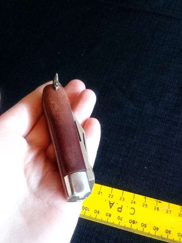 Stunning Stainless Steel Inox Pocket Knife with Wooden Handle in Good Condition L:145m -Stag Ireland