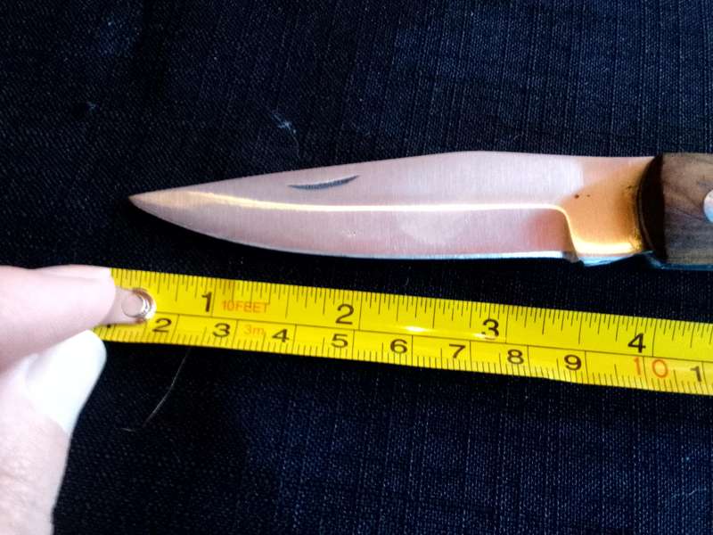 Stunning Stainless Steel Single Blade Folding Pocket Knife With Wooden Handle-Good Condition