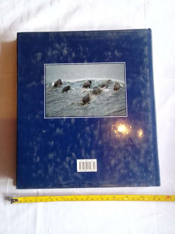 South Africa From The Air - Herman Potgieter - Good Condition