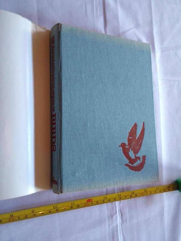 The Illustrated Encyclopedia Of Bird By Dr Jan Hanzak And Dr Jiri Formanek - Good Condition
