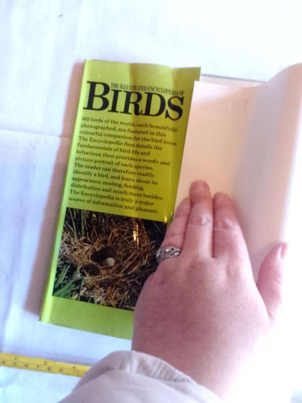 The Illustrated Encyclopedia Of Bird By Dr Jan Hanzak And Dr Jiri Formanek - Good Condition