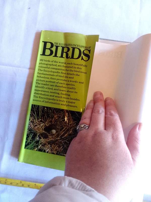 The Illustrated Encyclopedia Of Bird By Dr Jan Hanzak And Dr Jiri Formanek - Good Condition