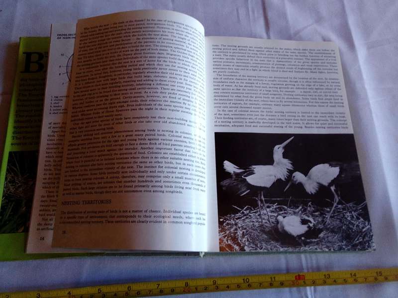 The Illustrated Encyclopedia Of Bird By Dr Jan Hanzak And Dr Jiri Formanek - Good Condition