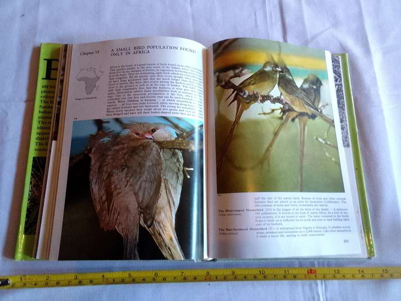 The Illustrated Encyclopedia Of Bird By Dr Jan Hanzak And Dr Jiri Formanek - Good Condition