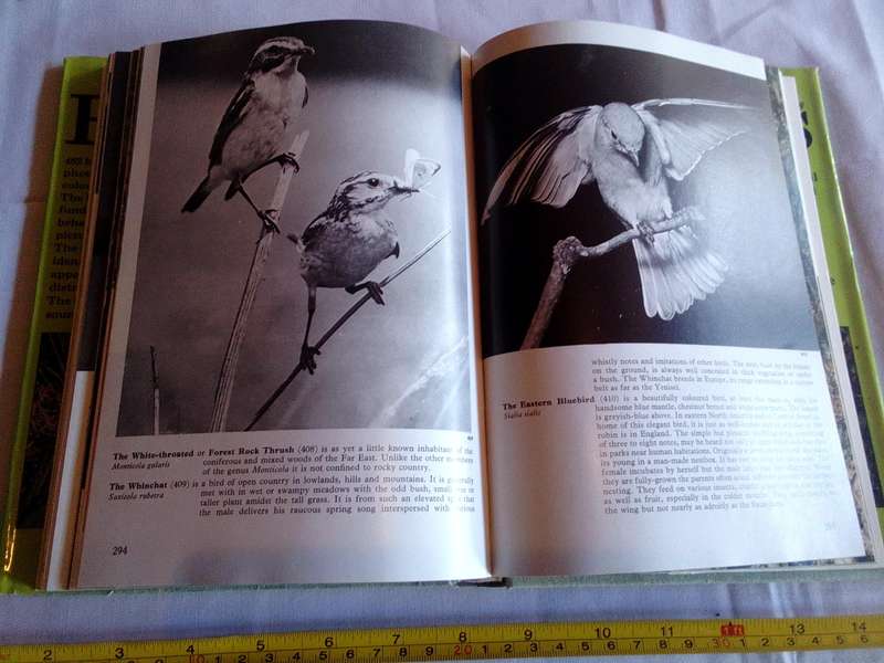 The Illustrated Encyclopedia Of Bird By Dr Jan Hanzak And Dr Jiri Formanek - Good Condition