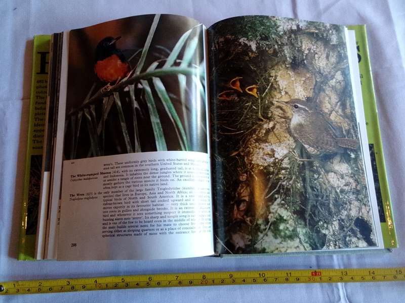 The Illustrated Encyclopedia Of Bird By Dr Jan Hanzak And Dr Jiri Formanek - Good Condition