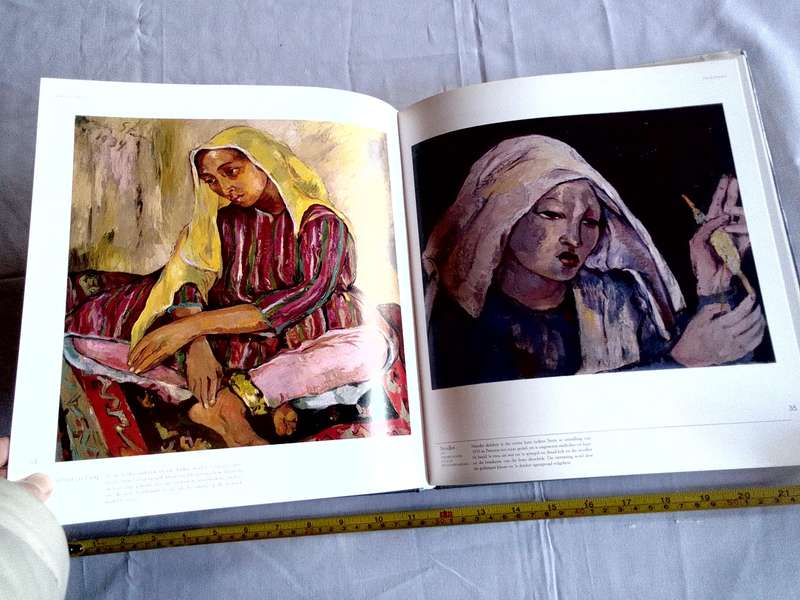 Irma Stern - 'N Fees Van Kleur - Marion Arnold - Goeie Kondisie