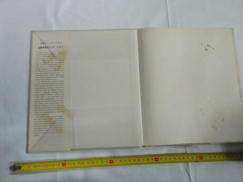 Japanese Art - More Than 60 Works Of Art In Full Colour - Raymond Johnes