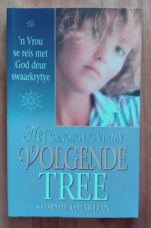 Net genoeg lig vir my volgende tree - 'n Vrou se reis met God deur swaarkrytye - Stormie Omartin
