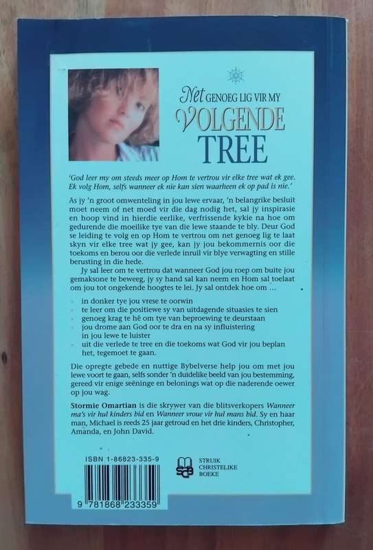 Net genoeg lig vir my volgende tree - 'n Vrou se reis met God deur swaarkrytye - Stormie Omartin