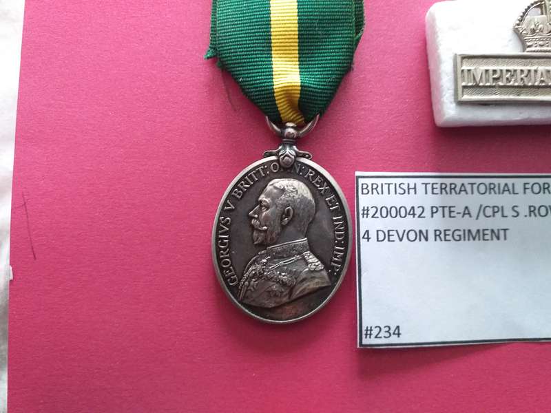 territorial force efficiency medal