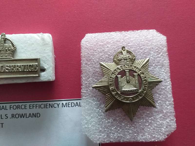 territorial force efficiency medal