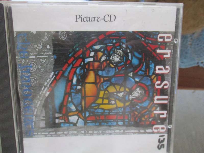 erasure picture disc