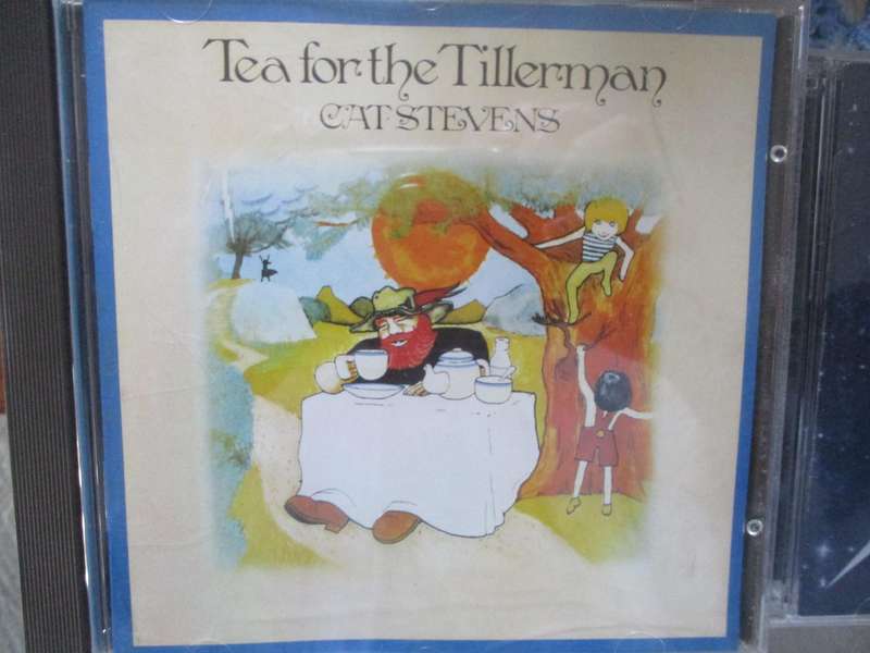 cat stevens