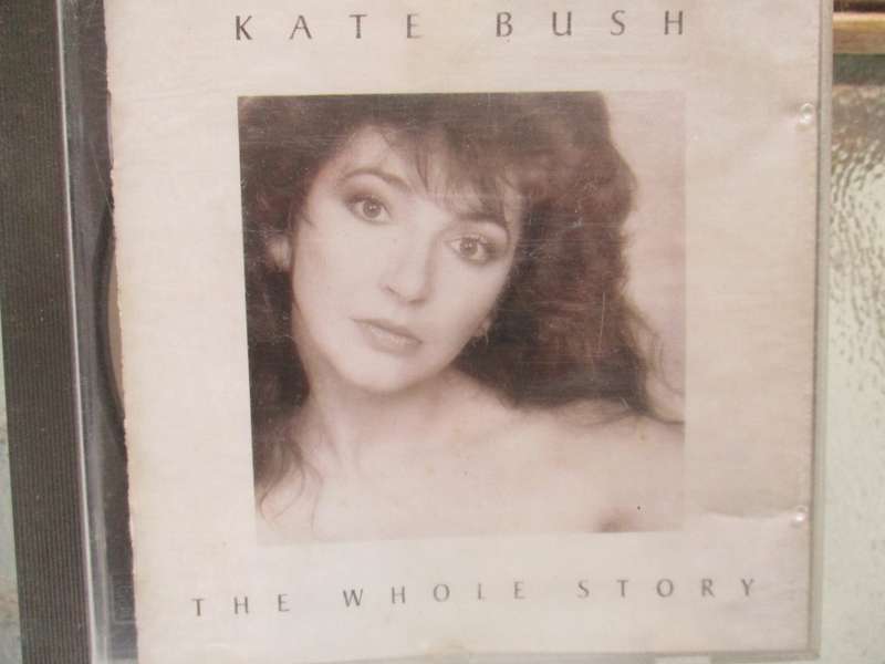 kate bush