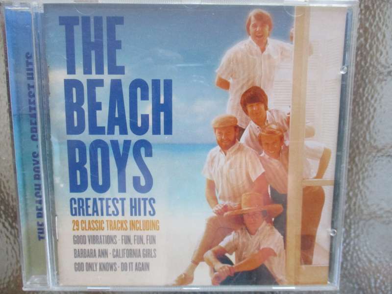 The beach boys