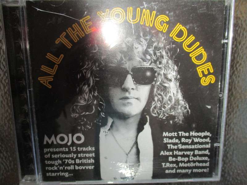 all the young dudes