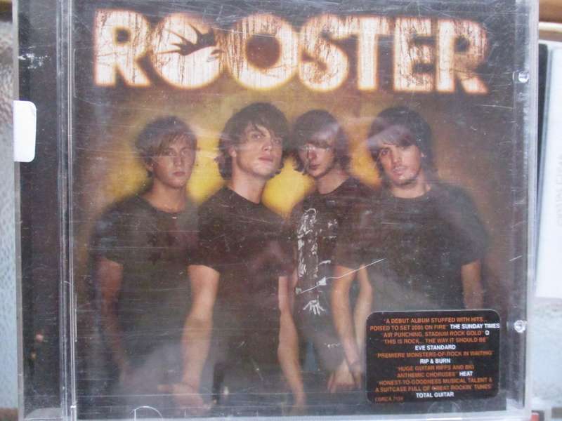rooster