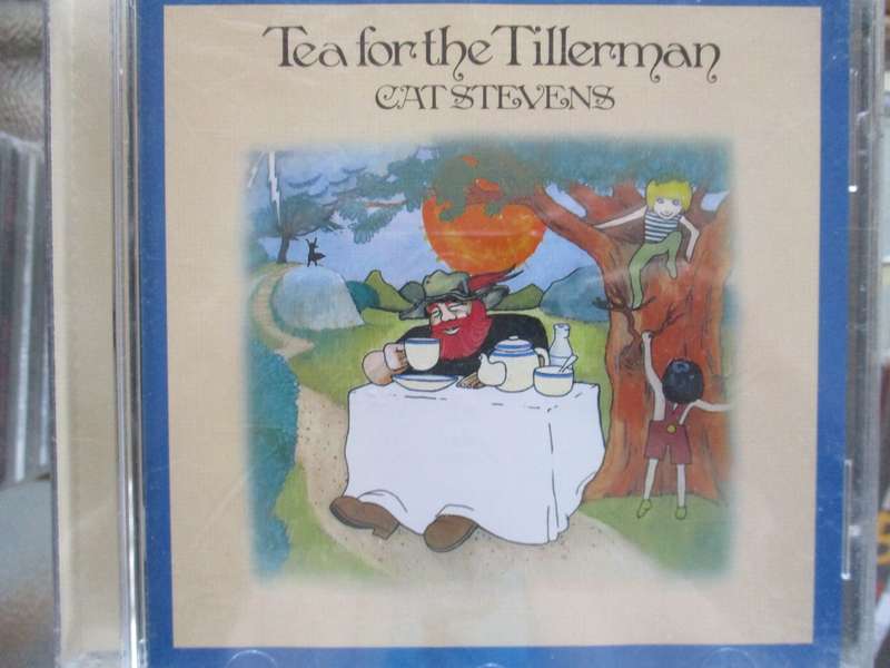 cat stevens