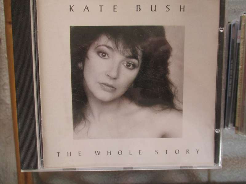 kate bush