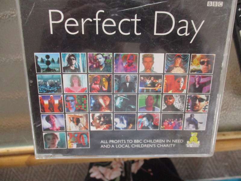 perfect day cd single