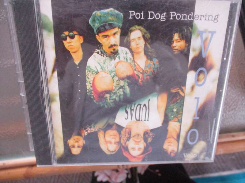 poi dog pondering