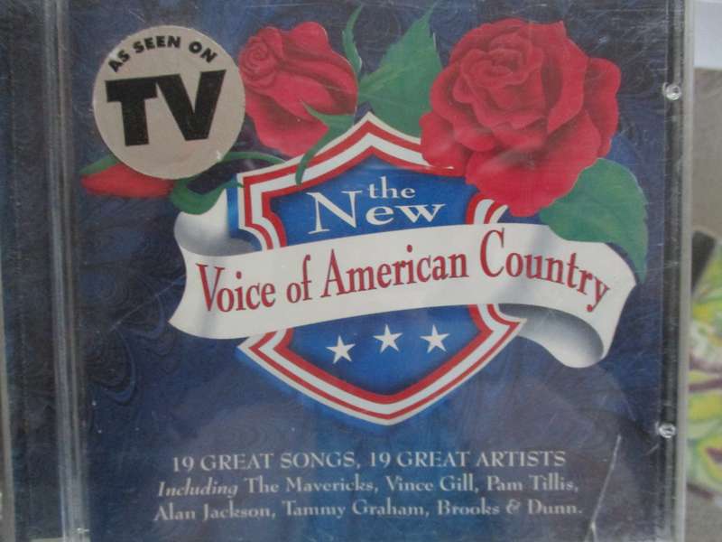 the new voice of america
