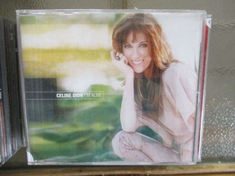 celine dion south african press cd single