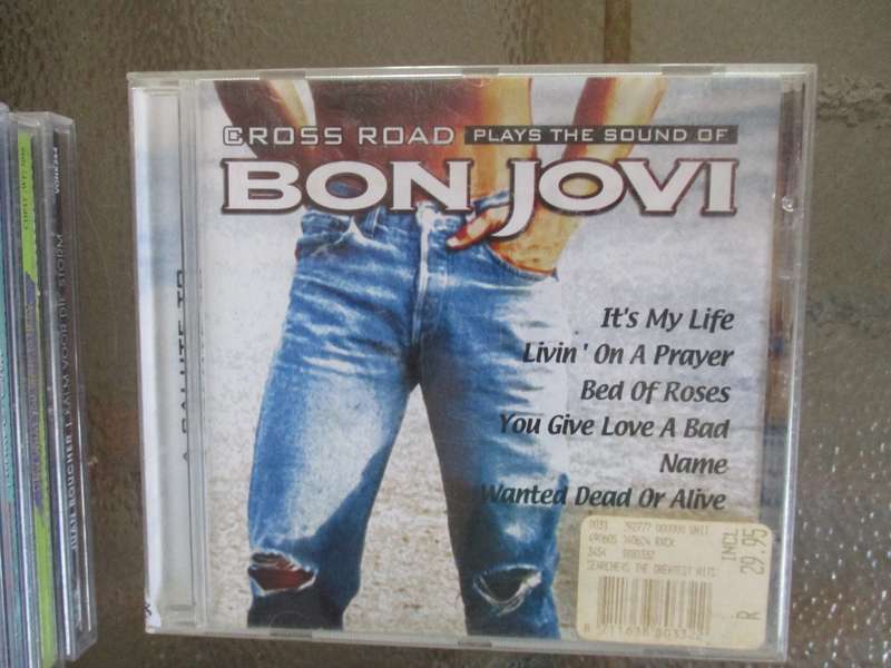 bon jovi cover version