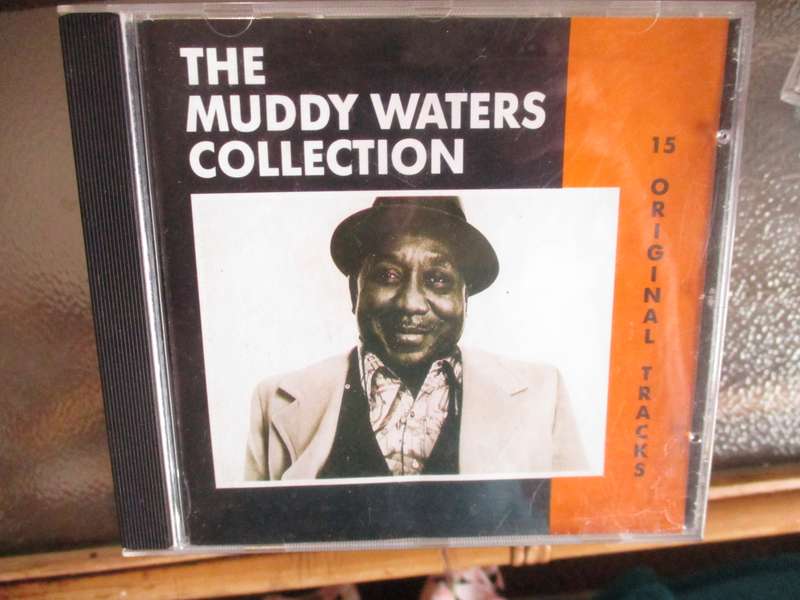 muddy waters