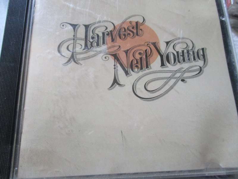 neil young