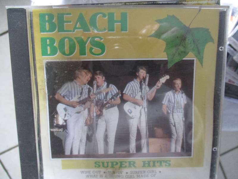 beach boys