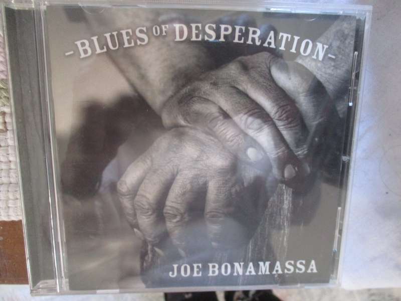 joe bonamassa