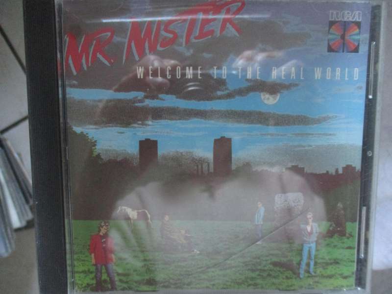 mr mister