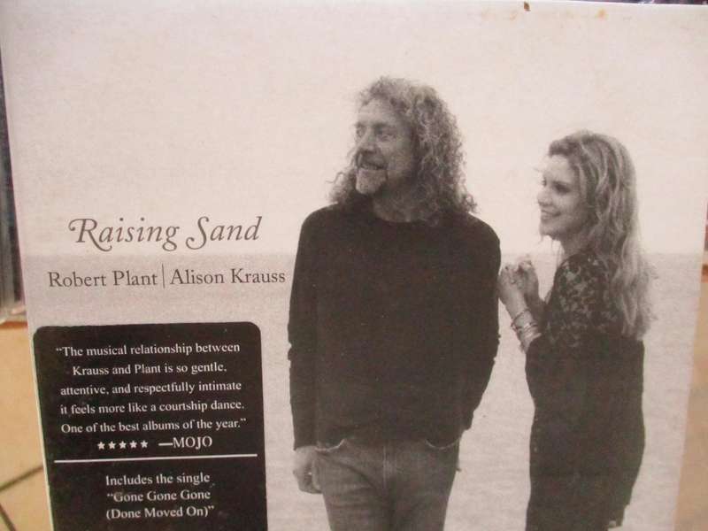 robert plant