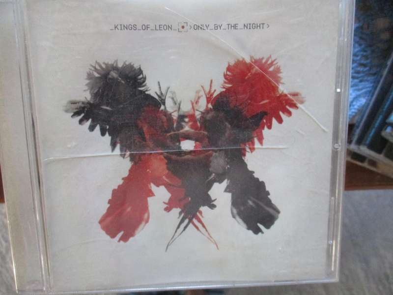 kings of leon