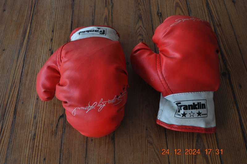 Vintage Franklin Sugar Ray Leonard Boxing Gloves