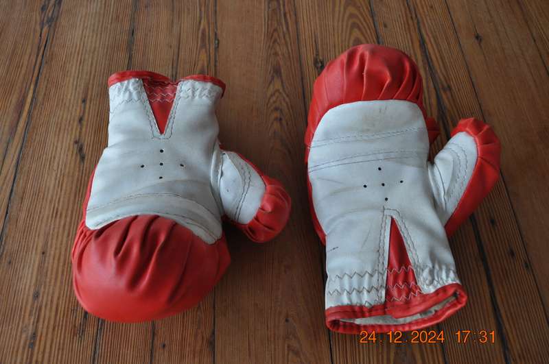 Vintage Franklin Sugar Ray Leonard Boxing Gloves