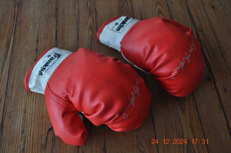 Vintage Franklin Sugar Ray Leonard Boxing Gloves