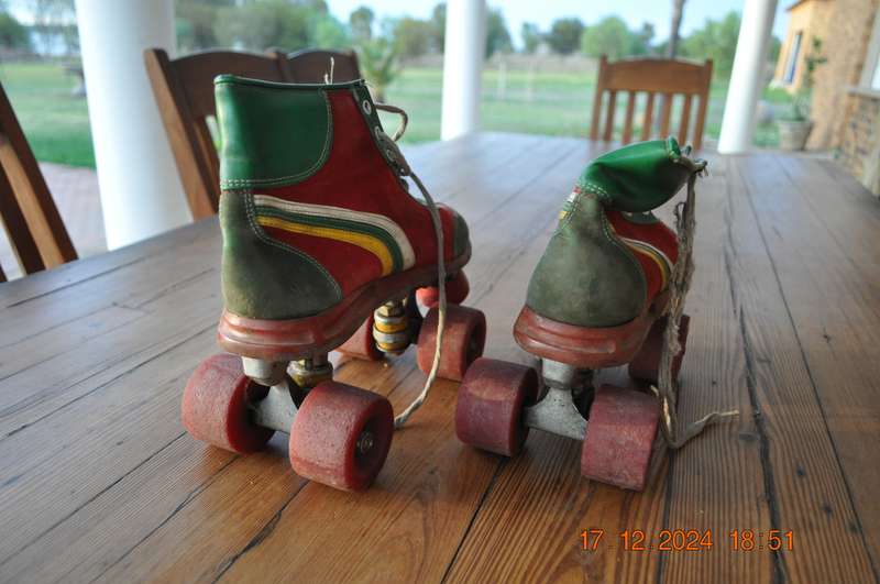 Vintage Roller Skates