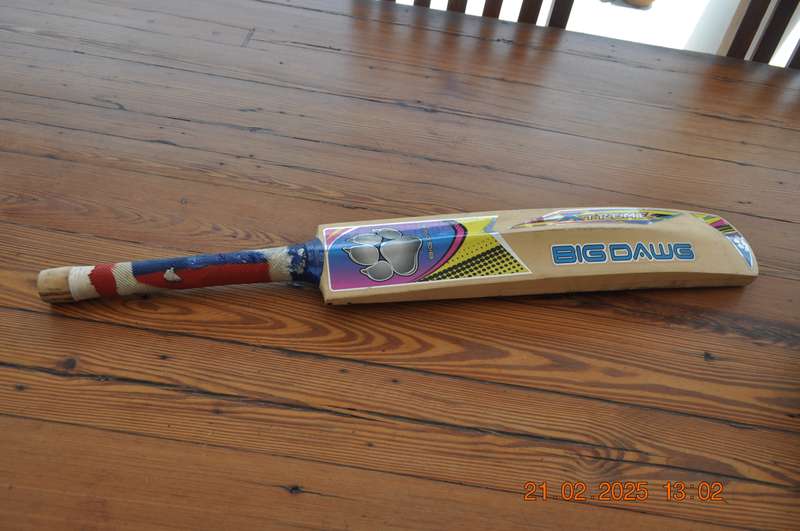 Cricket Bat and Pads For Youth 12-14 Years