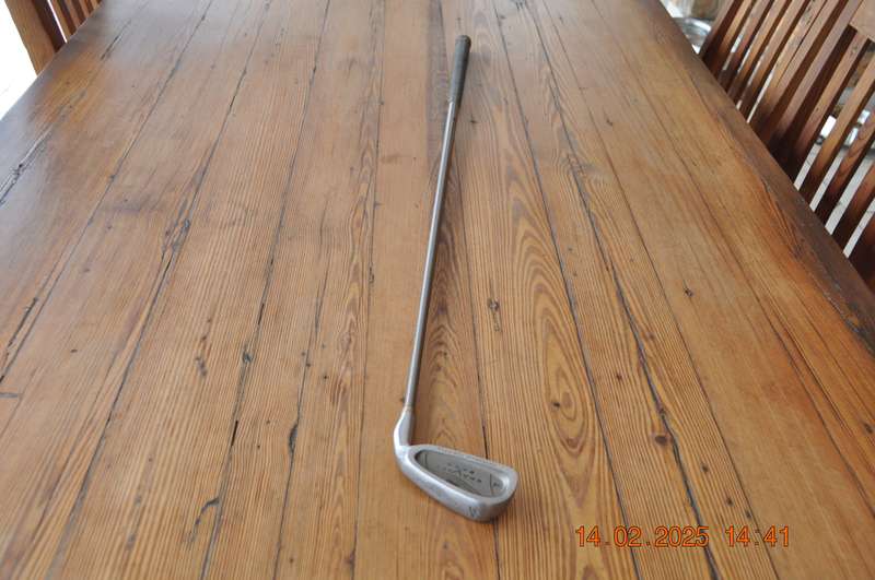 King Cobra Lady Cobra Iron 4 Graphite Golf Club