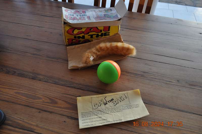 Vintage Cat In The Bag Toy