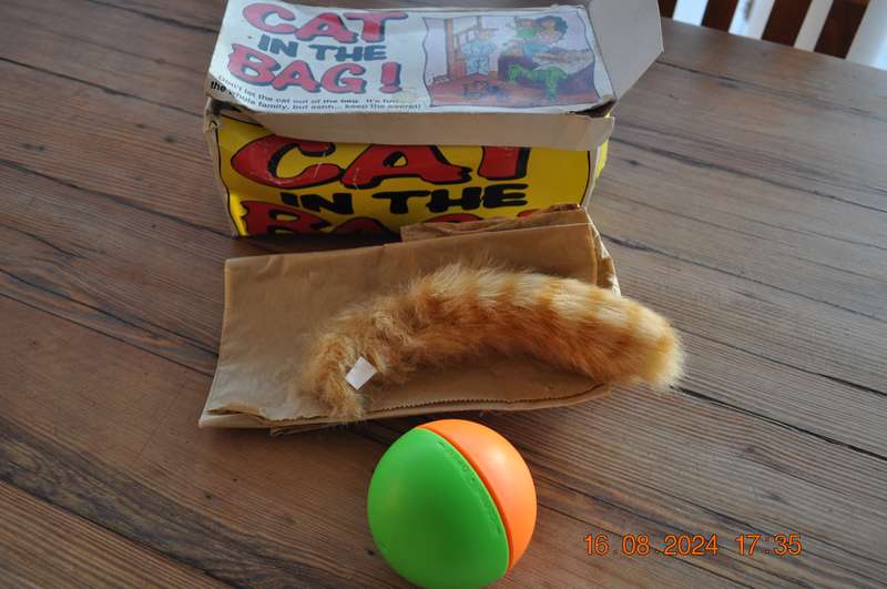 Vintage Cat In The Bag Toy