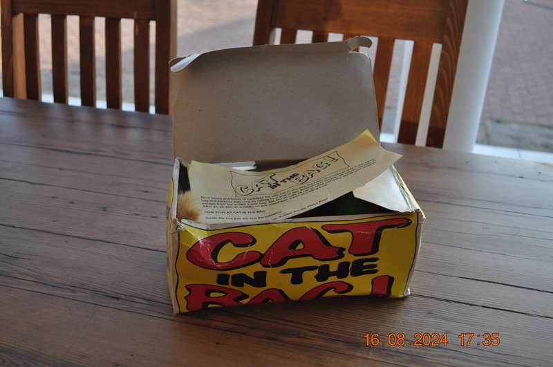 Vintage Cat In The Bag Toy