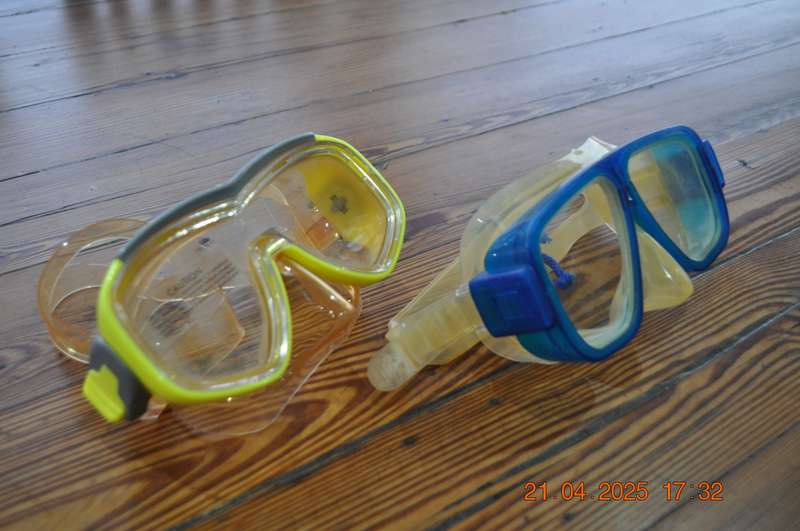 Diving Masks