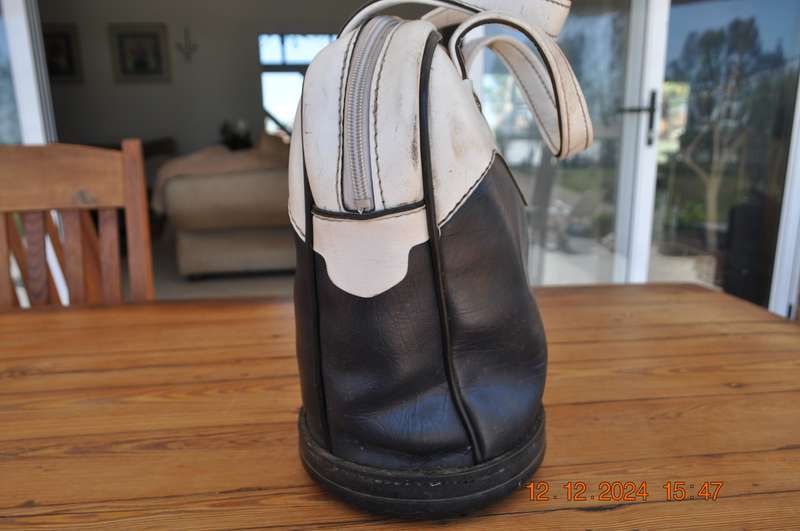 Vintage Golf Ball Carry Bag