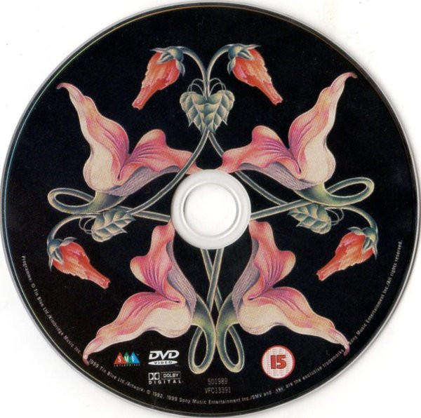 Pink Floyd - The Wall (DVD)