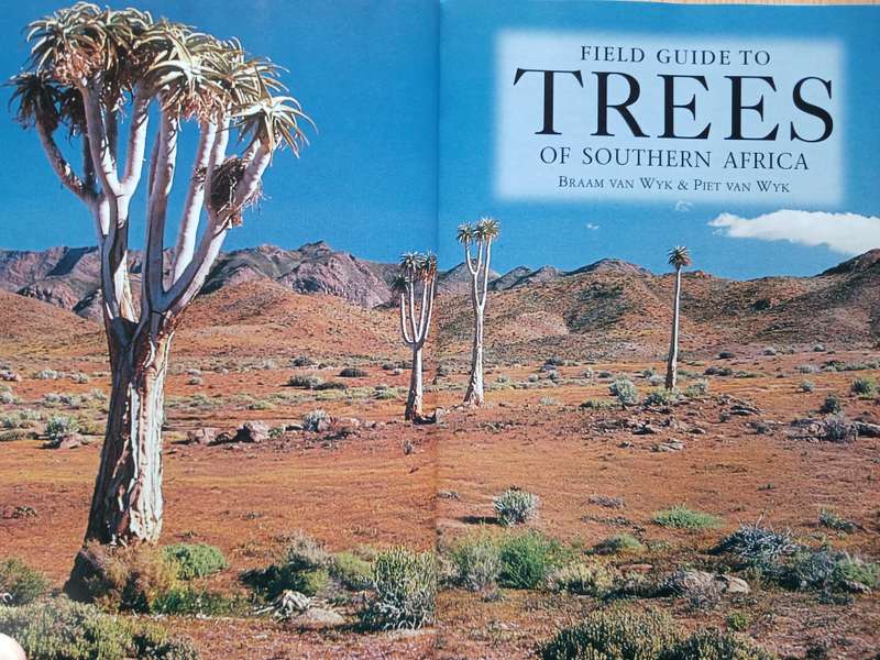 Field Guide to Trees of Southern Africa