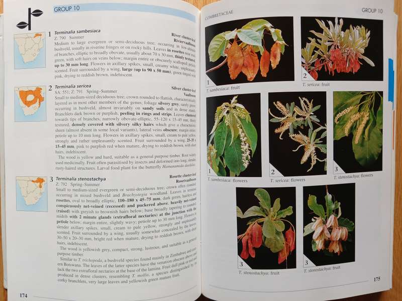 Field Guide to Trees of Southern Africa
